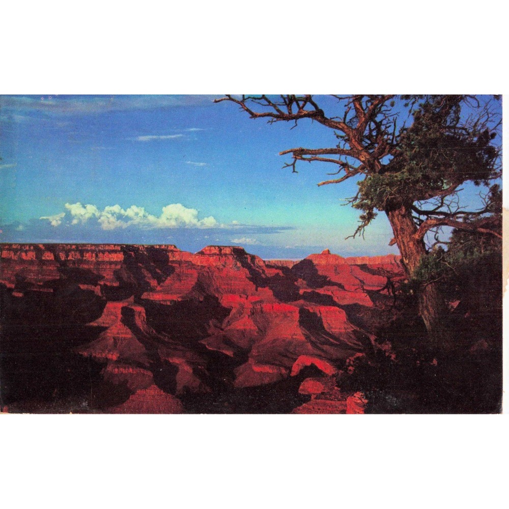 Vintage Grand Canyon Sunset Yaki Point Arizona Postcard 1961 Smokey Bear Stamp - Picture 1 of 2